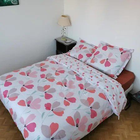 Apartman Centre Avec Parking